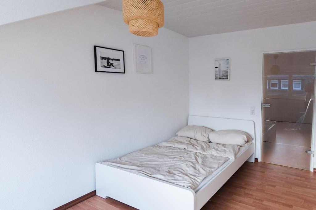 Loft In - 2 Dz *