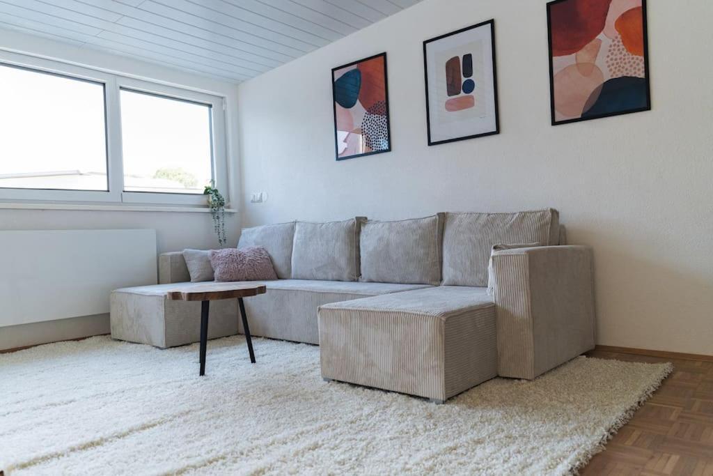 Loft In - 2 Dz